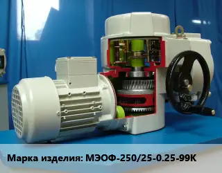 Электропривод МЭОФ-250/25-0.25-99К